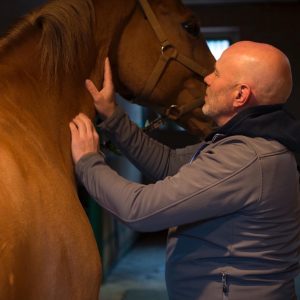 massages-chevaux.ch-1-copyright-Frederic-Marro-1